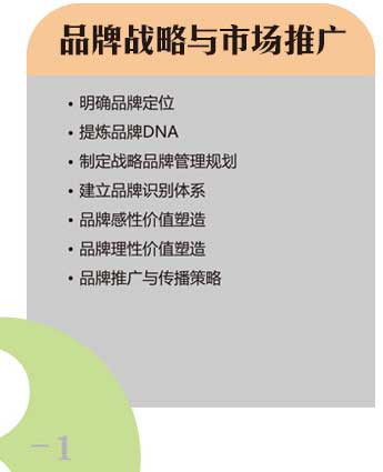 品牌戰(zhàn)略與市場推廣